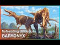 Everything about Baryonyx | Mr. Dinosaur