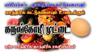 எப்பேர்பட்ட மாந்திரீக கட்டு குலதெய்வ கட்டுகளையும் உடைக்கும் கன்னி கோழி முட்டை | மாந்திரீக ரகசியம்