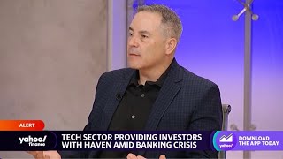 Tech sector becomes safe haven for investors amid U.S. banking crisis