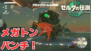 【ティアキン】　ブロックゴーレム（中等）戦　戦闘でモドレコ使えるとキモチー！！　【ゼルダの伝説　ティアーズ オブ ザ キングダム】