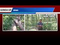 रात के अंधेरे में काटा जाता है जंगल का पेड़ वन माफिया सक्रिय gonda up jungle story forest