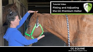 How to Fit \u0026 adjust your GG Equine Premium Breakaway Halter for escape artists to prevent removal