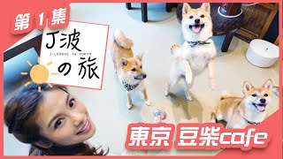 J波之旅 - 第一集 | 東京 豆柴Cafe | Elaine 阿旦