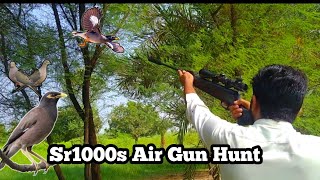 Sr1000s Air Rifle Hunt without scope