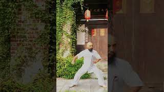 Chen-style Taijiquan #kungfu #taichi #magic #dance #taichiclass #martialarts #traditionaltaichi