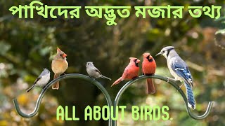 পাখিদের অদ্ভুত ও মজার তথ্য: প্রকৃতির বিস্ময়কর ডানা মেলে উড়ার গল্প!