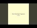 Storm Moonlight Fragments