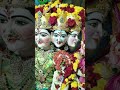 Darshan of Mother Gayatri (Close Up Darshan) #shorts