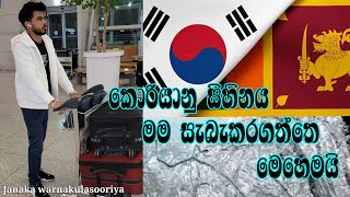 කොරියානු සිහිනය මම සැබැකරගත්තු ආකාරය /How to Korean life/ How to Korean jobs