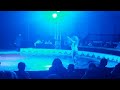 para toda la vida by antoneta live in circus kino