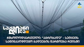 #მხოლოდქართული: “აგრობადე” - სეტყვის საწინააღმდეგო ბადეების წარმოება რუისში