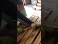 팔렛트 분해하기 쉽게 분해하는 방법이 있을까요 how to disassemble a pallet palette wood 팔렛트 diy 목공 shorts