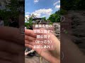 岩手県一関にある二大渓谷の１つ！厳美渓（げんびけい）そこの名物空飛ぶ🍡郭公団子🍡ただのアトラクションな訳では無くお味もgood👍行かない理由がない！