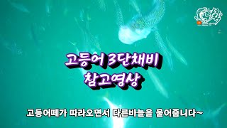 고등어 전갱낚시 수중영상 생존신고~!!  죄송합니다 건강문제로