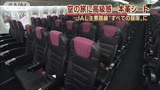 JALが本革シート導入　主要路線\