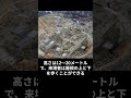 大阪万博「リング」に批判噴出　350億円「世界一高い日傘」 ショート 大阪万博 税金 切り抜き