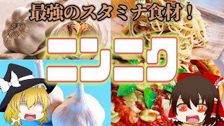 【ゆっくり解説】最強のスタミナ食材！ニンニクの栄養について解説！