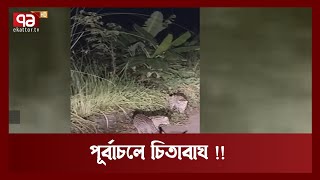 পূর্বাচলে বাঘ !! | Leopard | News | Ekattor TV