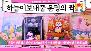 [타로/연애운]결국 만날 하늘이 보내줄🌹운명에 적힌 찐 인연❓직업성,외모,분위기💫 관계상관🙅🏻싱글,재회,커플,이미지,흐름,관계운,시기Pick a card💟Tarot