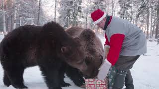 Hyvää Joulua toivoo Suurpetokeskus. Merry Christmas