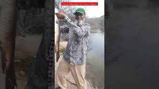 Monster Rohu Fish | Hyderabad Fishing | Best Fishing Baits👌👍