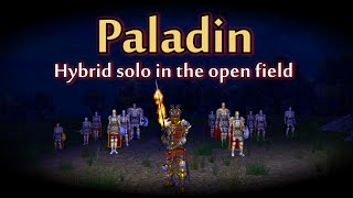 Solo Paladin Vol. 4 - DAoC Eden