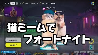 【フォートナイト】会話がすべて猫ミームでバトロワ