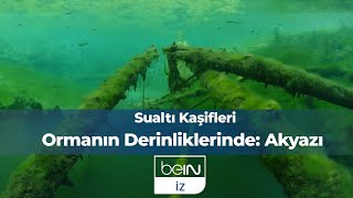 Sualtı Kaşifleri 15. Bölüm | Ormanın Derinliklerinde: Akyazı