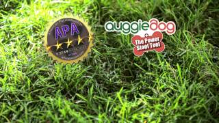 Auggie Dog - As Seen on TV