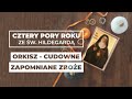 ORKISZ - cudowne zboże || Dr n. med. Norbert Szaluś || Cztery pory roku ze św. Hildegardą #02