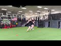 crossover complex premier athlete training