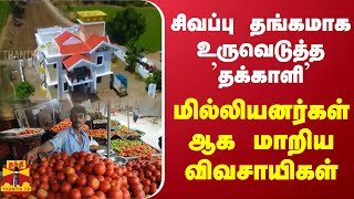 சிவப்பு தங்கமாக உருவெடுத்த 'தக்காளி'... மில்லியனர்கள் ஆக மாறிய விவசாயிகள் | TOMATO