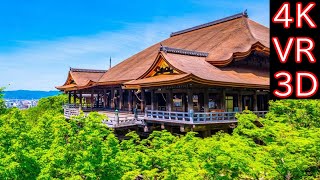 【4K VR180】Japan Kyoto Kiyomizu temple (日本 京都 清水寺)