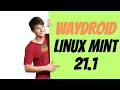 How to Install Waydroid on Linux Mint 21.1 Vera | Waydroid | Android in a Linux Container