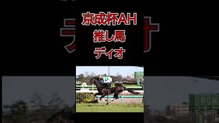 【京成杯オータムハンデ2024予想】 #競馬 #競馬予想 #投資競馬 #中央競馬 #セントウルステークス #紫苑ステークス #京成杯オータムハンデ #単勝 #複勝