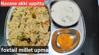 ನವಣೆ ಅಕ್ಕಿ ಉಪ್ಪಿಟ್ಟು|for fast weight loss foxtail millet upma in kannada|navane akki uppittu