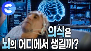 과학계의 오랜 난제 뇌의식 🧠 | 의식은 뇌의 어디에서 생겨날까? | 지식채널e