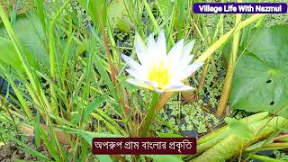 Beautiful Village Of Bangladesh বাংলাদেশের গ্রামের অপরুপ সুন্দর দৃশ্য