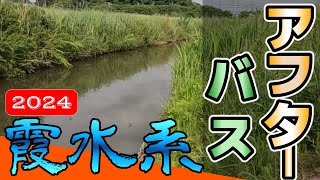 【バス釣り】【霞ヶ浦】小規模水路_流入河川_横利根川