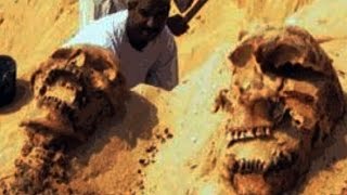 Ancient Giants & Nephilim COVER-UP: Shocking Proof They Really Existed