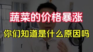 蔬菜价格暴涨，你知道是什么原因吗？