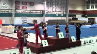 USA Gymnastics 2011 - Meet One Awards