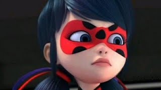 Miraculous wallpapers