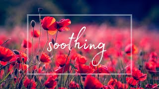 Poppy Fields • 10 Hours of Ambient Music for DEEP Sleep, Study, Calming, or Meditative Needs • Zen