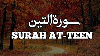 Surah At-Teen| سورة التين| Quran recitation| by sadique ibn wasi|