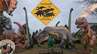 Kawaii Capybara Pudding!? & Dinosaur World Florida/かわいすぎるカピバラ・プリン&恐竜がいっぱい!? ダイナソーワールド