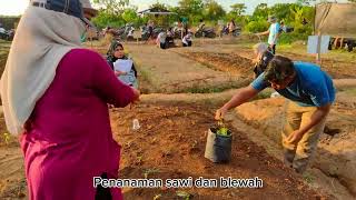 PROJECT BUDIDAYA TANAMAN BLEWAH DAN SAWI || KELOMPOK 2 KELAS 03 || MATA KULIAH TPTH ||