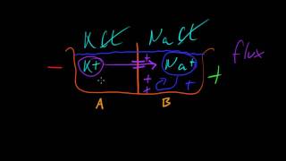 Part 6a - Resting Membrane Potential