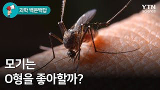 [과학 백문백답] 모기는 O형을 좋아할까? / YTN 사이언스