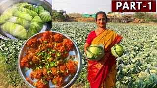 घर पर ही रेस्टोरेंट से भी टेस्टी मंचूरियन और डोलमा बनाये| JOURNEY TO VILLAGE TRADITIONAL FOOD|